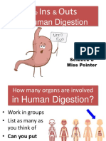 Microteach-Human Digestion