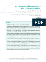 14 Enf Renales RN 0 PDF
