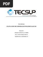 Flotación de Minerales Polimetalicos