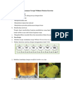 Prosedur Pelaksanaan Terapi William Flexion Exercise