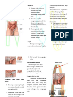 SAP HERNIA FIKS - Cempaka