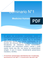 Seminario N°1