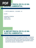 A Importância Do s.i.g