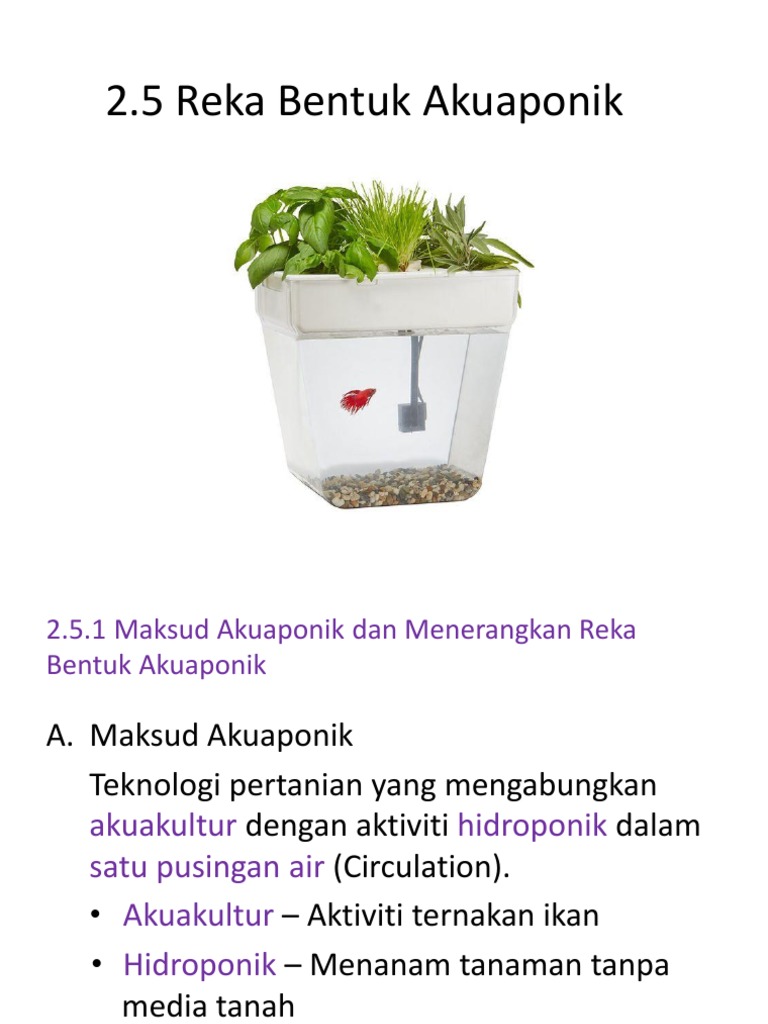 Reka Bentuk Akuaponik