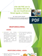 Aplicación Del PAE Con La Taxonomía NANDA NOC 1