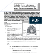 II Bimestre-ANATOMÍA-4TO-SECUNDARIA