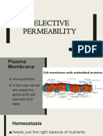 Presentation 1 1