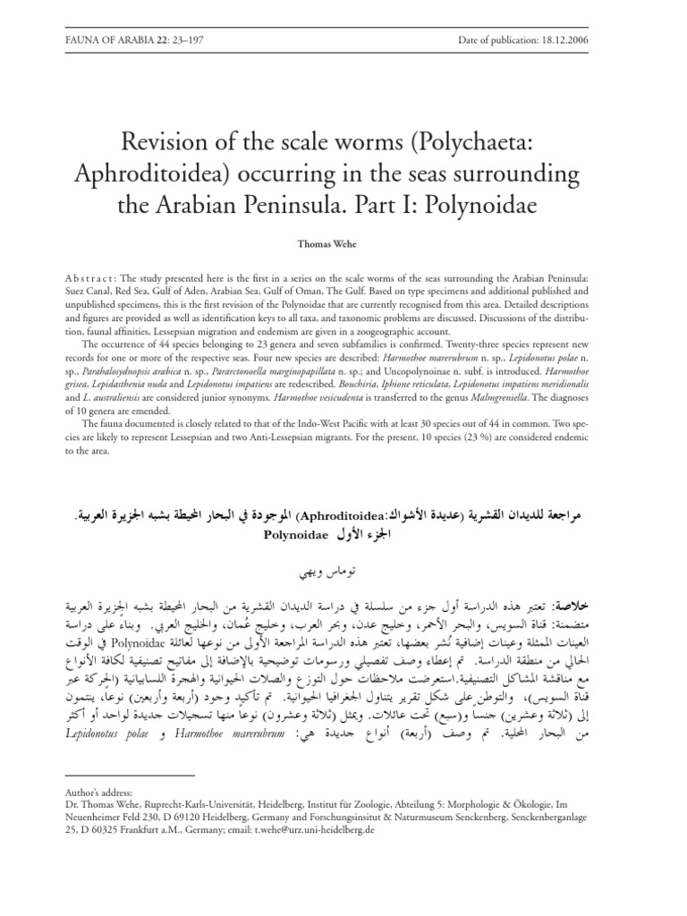 Wehe Arabic Polynoidae Genus Anatomical Terms Of Location