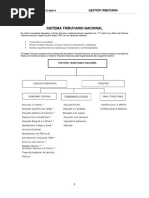 Gestion Tributaria en El Peru