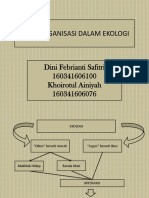 Ekologi KLP 10, Level Organisasi Ekologi