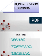 Lisosom, Peroksisom, Glikosisom