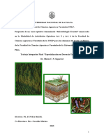 Documento Completo