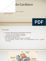 O Músculo Cardíaco: Anatomia, Fisiologia e Função