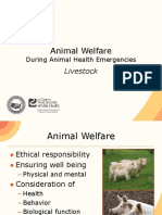 10 Animal Welfare Livestock JIT