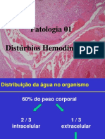 06 Aula Hemodinamicos 1