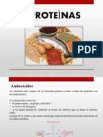 Clase III Proteinas