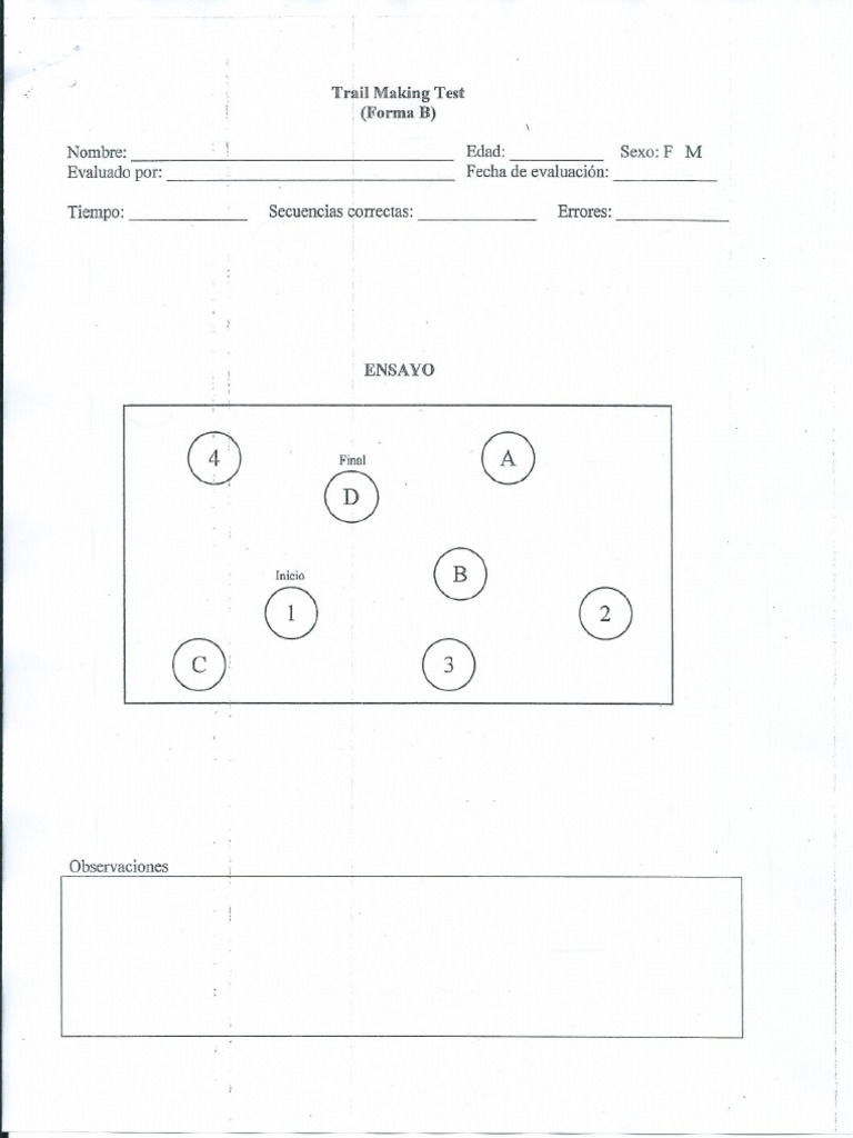 TMT A y B | PDF