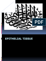 Epithelium 2