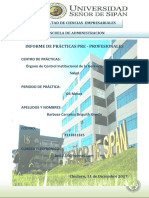 Informe de Desempeño Final - Practicas Pre Profesionales PDF