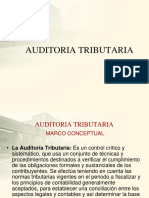 AUDITORIA-TRIBUTARIA2