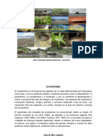 ECOSISTEMA EJE 1.pdf