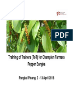Training of Trainers (Tot) For Champion Farmers Pepper Bangka