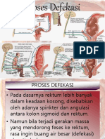 Proses Defekasi