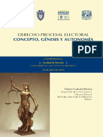 Derecho procesal electoral. Concepto, génesis y autonomía.pdf