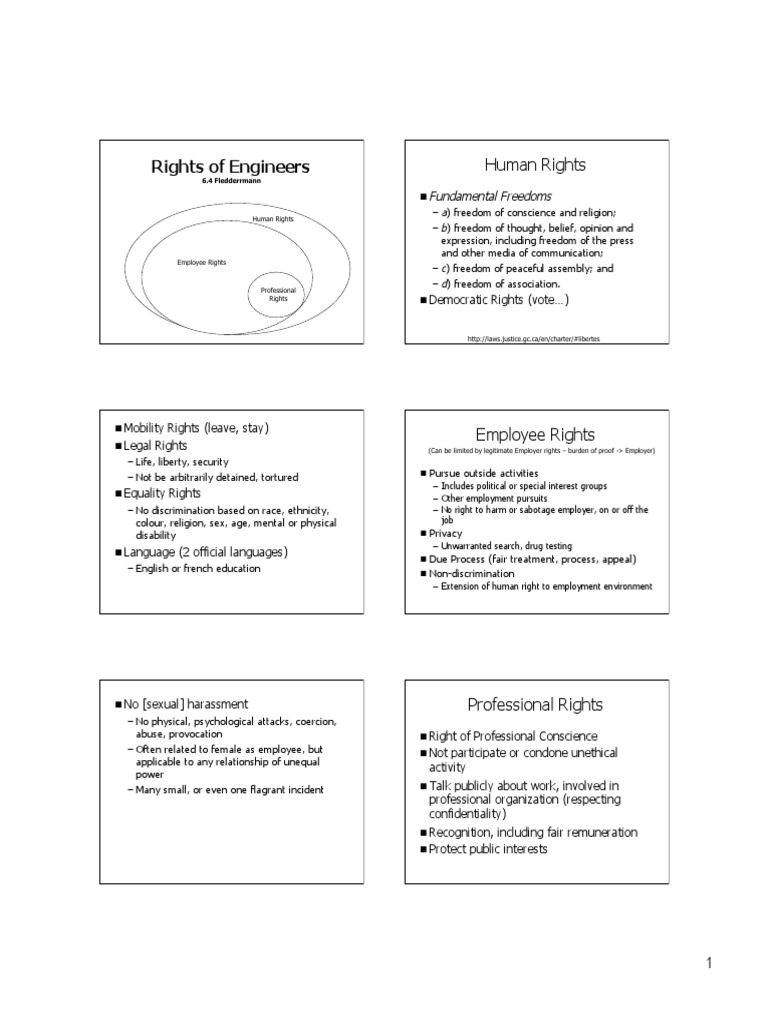 Engineer Rights and Whistleblowing Guide | PDF | Whistleblower ...