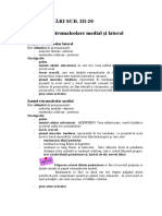  Santurile Retromaleolare Medial Si Lateral