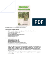 RUBBER-PRODUCTION-GUIDE.pdf