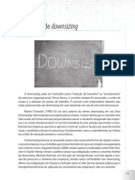 Conceito de Downsizing PDF