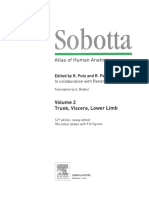 Sobotta - Atlas Human Anatomy Volume2 14th Edition (www.irananatomy.ir).pdf