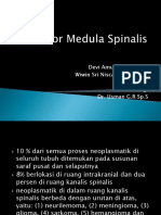 232674025 Tumor Medula Spinalis