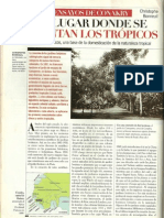 El Lugar Donde Se Inventan Los Tropicos