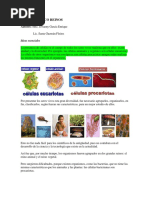 Los Cinco Reinos La Celula