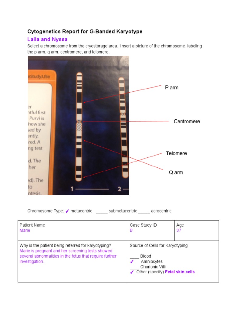 Cytogenetics Report For G-Banded Karyotype | PDF | Karyotype | Cytogenetics
