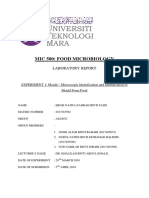 Mic 500: Food Microbiology: Laboratory Report