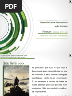 Resumos Teorias Determinismo