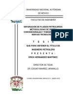 Tesis_Licenciatura_Erick_Hernandez_Martinez_Ing_Petrolera.pdf