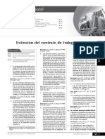 extincion contrato trabajo.pdf