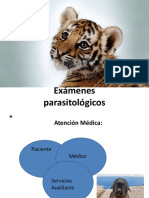 Examenes Parasitologicos