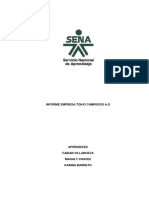 Informe Final - proyecto formtivo