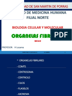 Organelas Fiibrilares