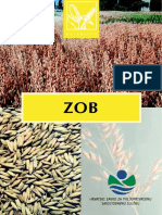 zob.pdf