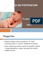 Adaptasi Ibu Post Partum New