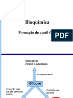 2_piruvato_acetil.pdf