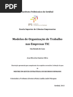 Modelos de OT Nas Empresas TIC