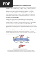 Clasificación de Forrest en HDA | PDF | Gastroenterología ...