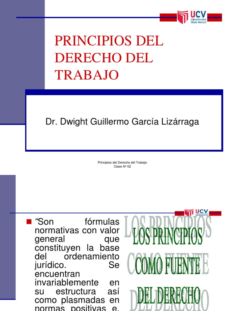 Principios Fundamentales del Derecho Laboral | PDF | Derecho laboral ...